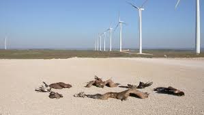 Wind turbines killing birds is a common argument used